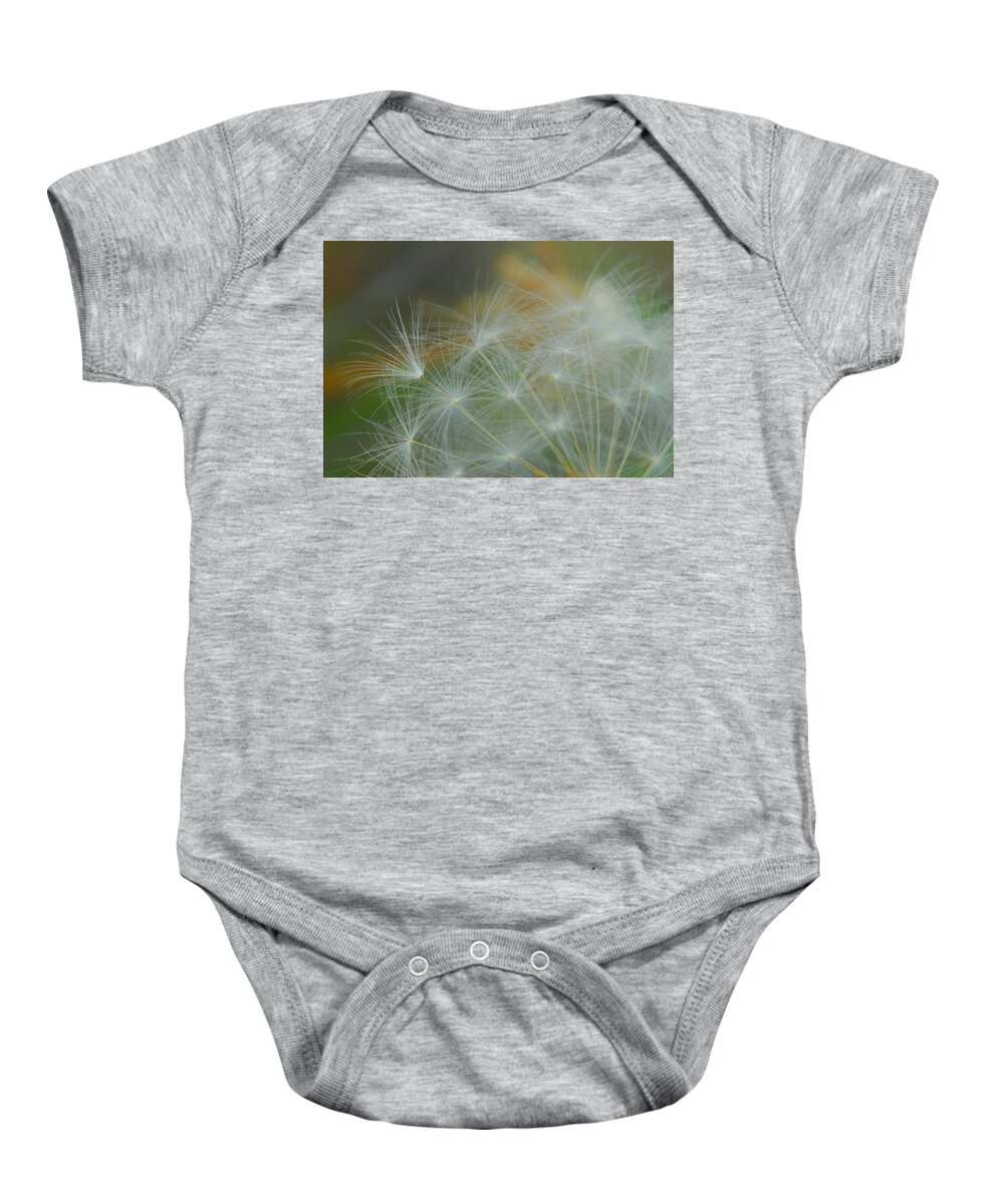 Dandelion Baby Onesie featuring the photograph Just Dandy by Donna Blackhall