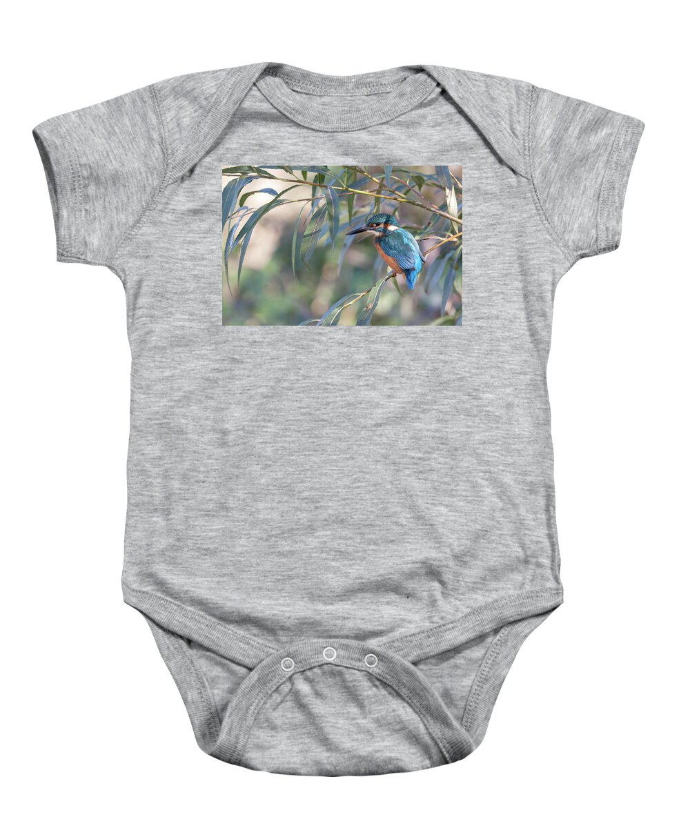 Kingfisher Baby Onesie featuring the photograph Kingfisher In Willow by Pete Walkden