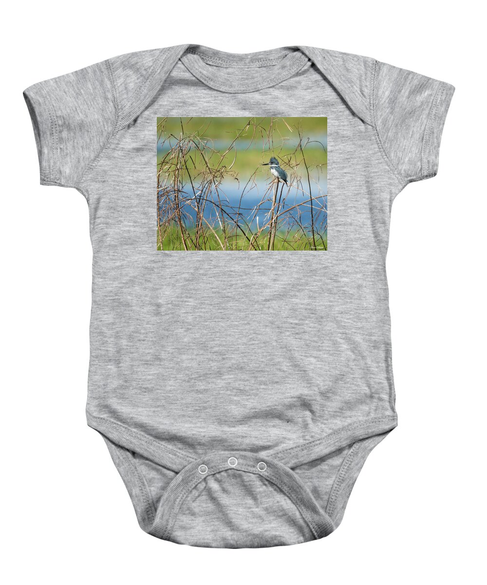 Perch Baby Onesie featuring the photograph Kingfisher Perching by Fran Gallogly