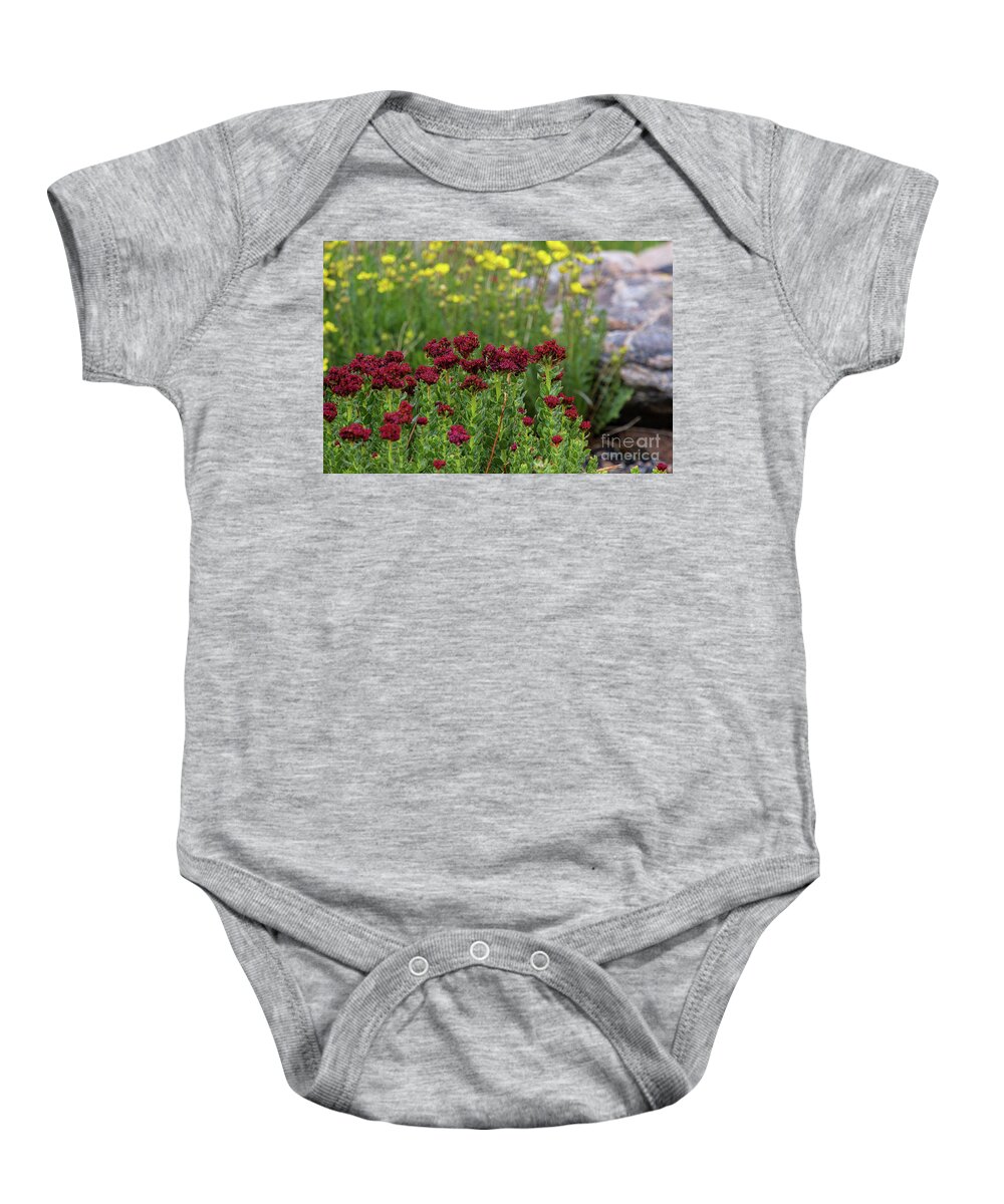 Wildflowers Baby Onesie featuring the photograph Kings Crown Curtain by Jim Garrison
