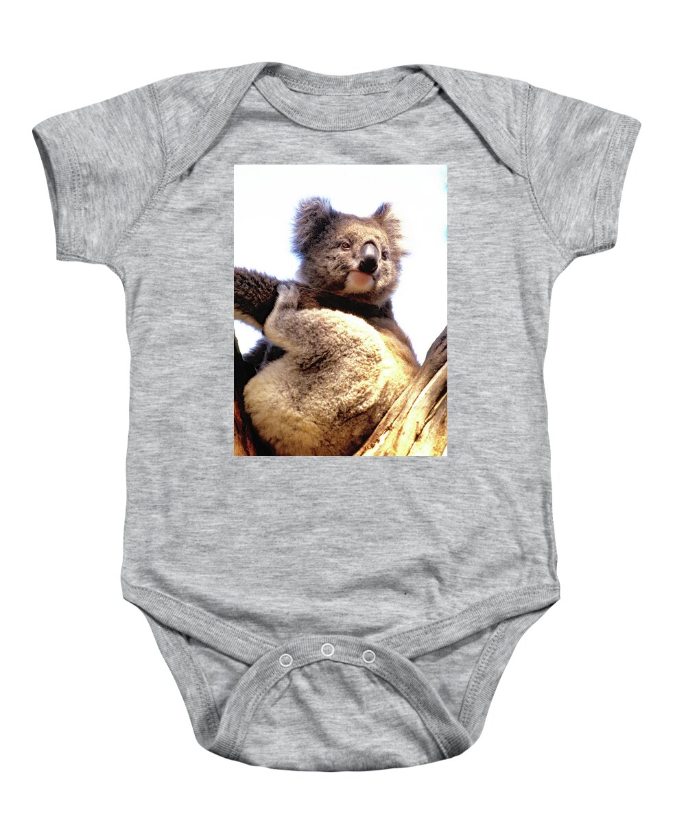 Koala Baby Onesie featuring the photograph Koala 2 by Jerry Griffin