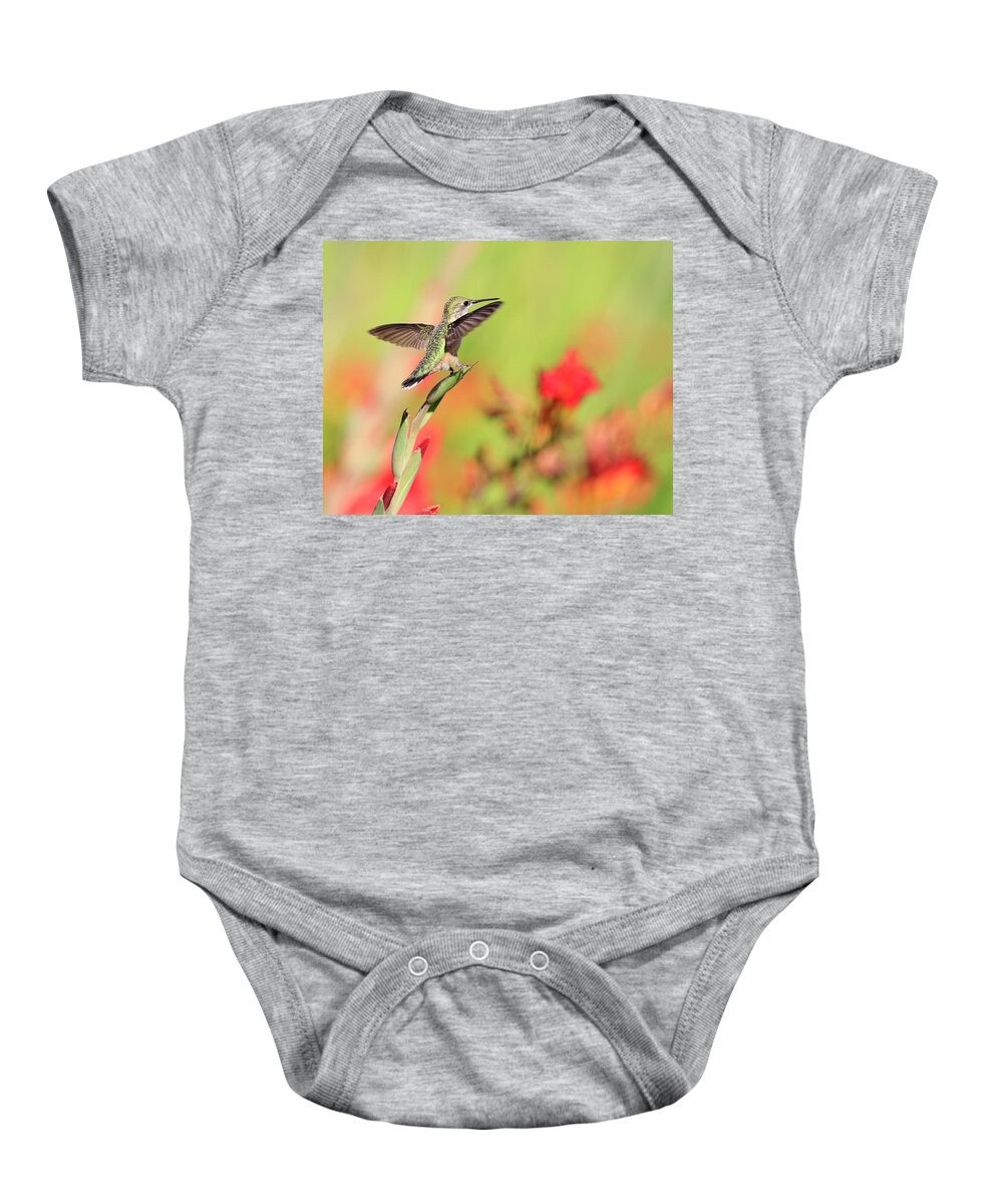 Humming Bird Baby Onesie featuring the photograph Landing by Steve McKinzie