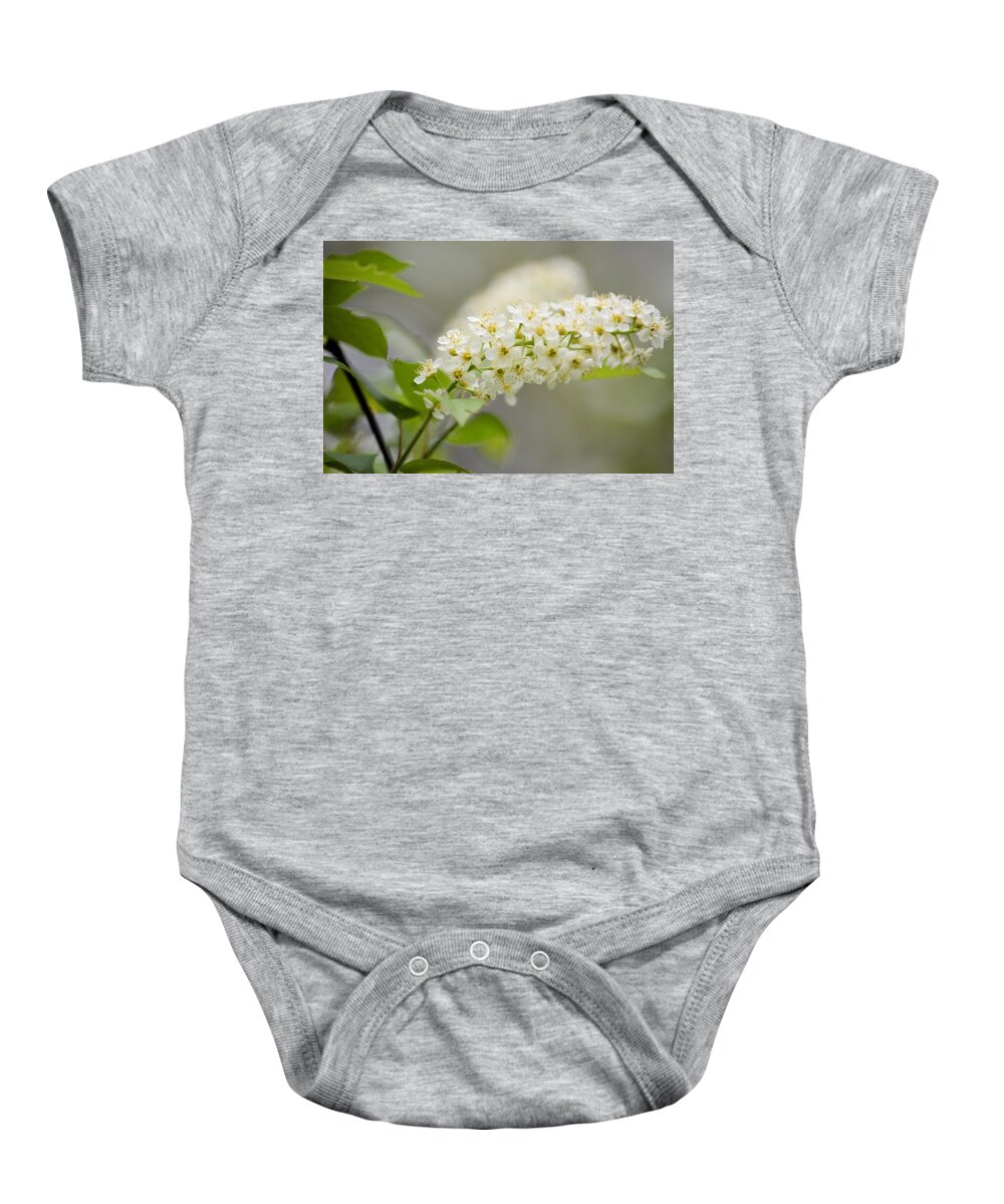 Blossom Baby Onesie featuring the photograph Laurel Blossom by Bonfire Photography