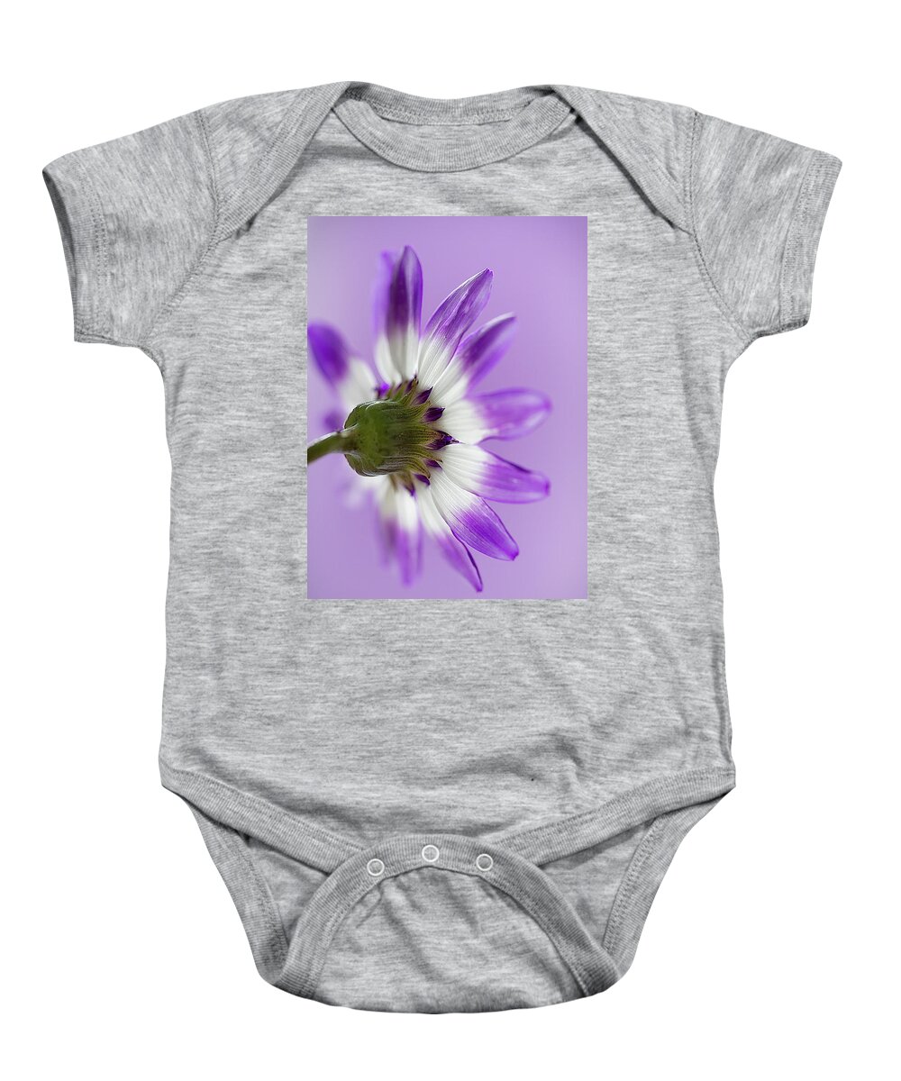 Cineraria Baby Onesie featuring the photograph Layers of mauve by Shirley Mitchell