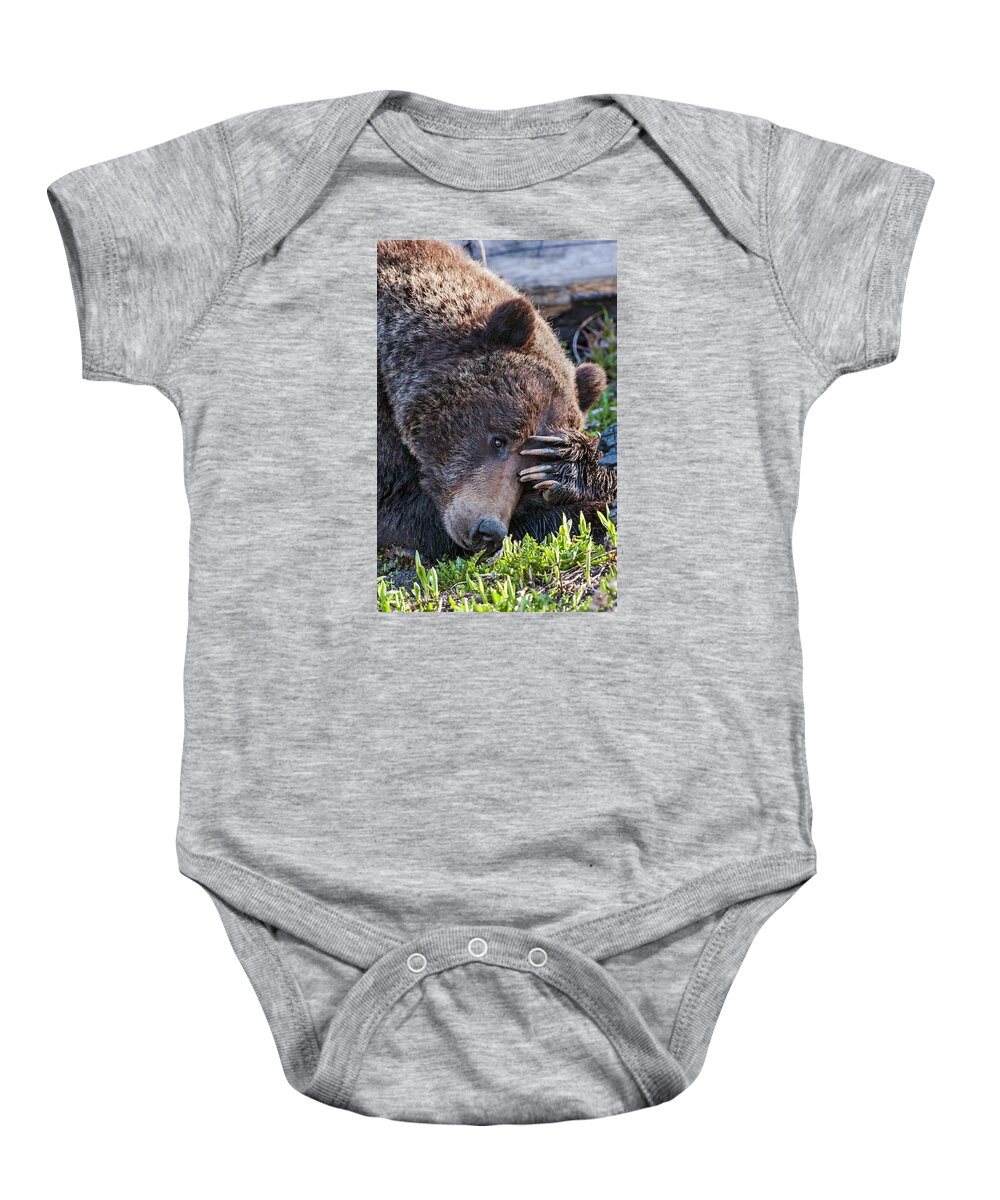 Bear Baby Onesie featuring the photograph Lazy Bear by Wesley Aston