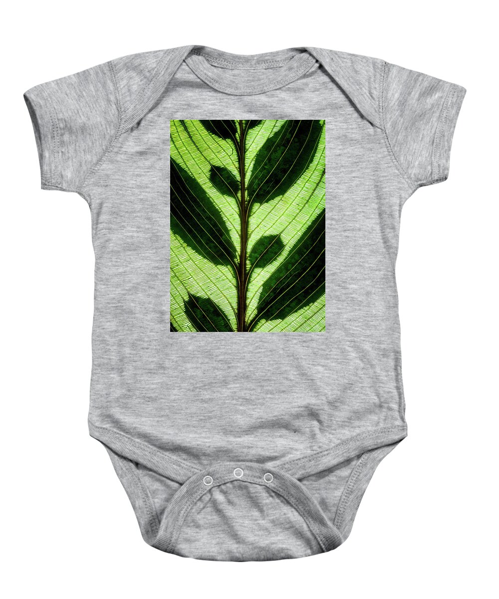 Macro Baby Onesie featuring the photograph Leaf Detail by Christopher Johnson