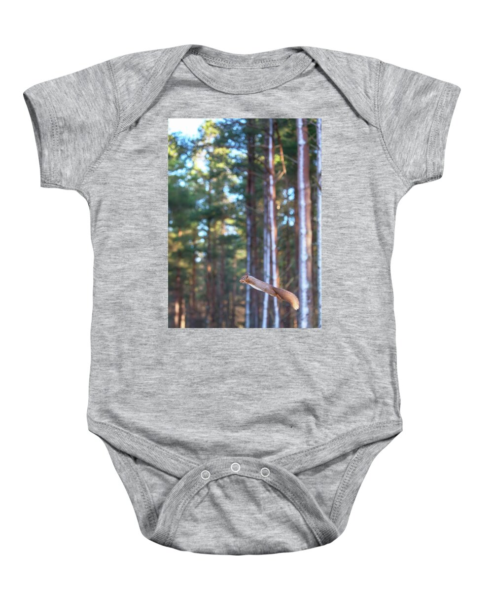 Red Baby Onesie featuring the photograph Leaping Red Squirrel Tall by Pete Walkden