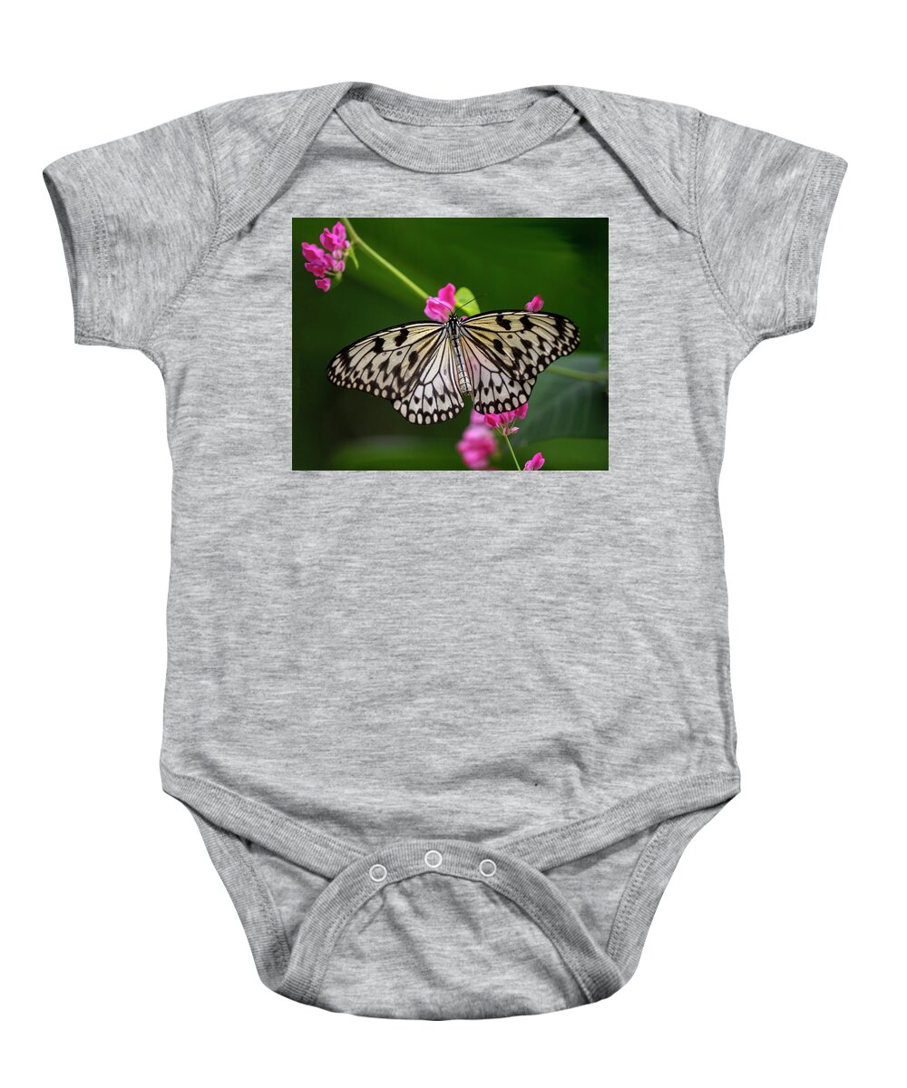 Butterfly Baby Onesie featuring the photograph Leisurely Lunch by Harriet Feagin