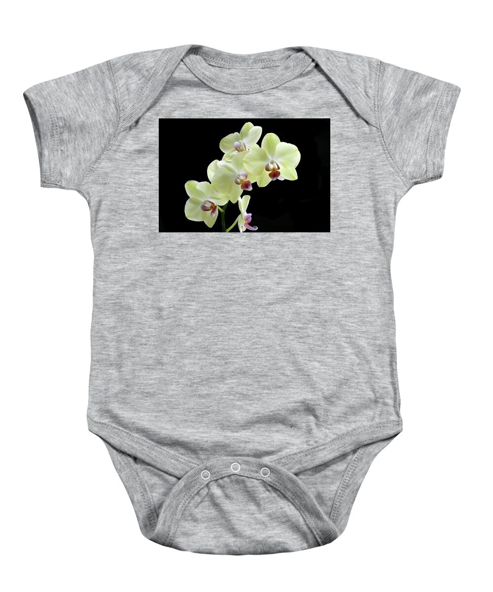 Orchid Baby Onesie featuring the photograph Lemon Yellow Orchid's by Terence Davis