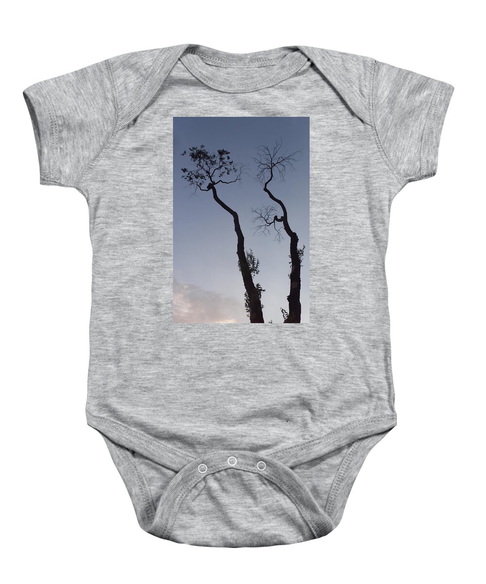 Tree Baby Onesie featuring the photograph Life and death by Scott Sawyer