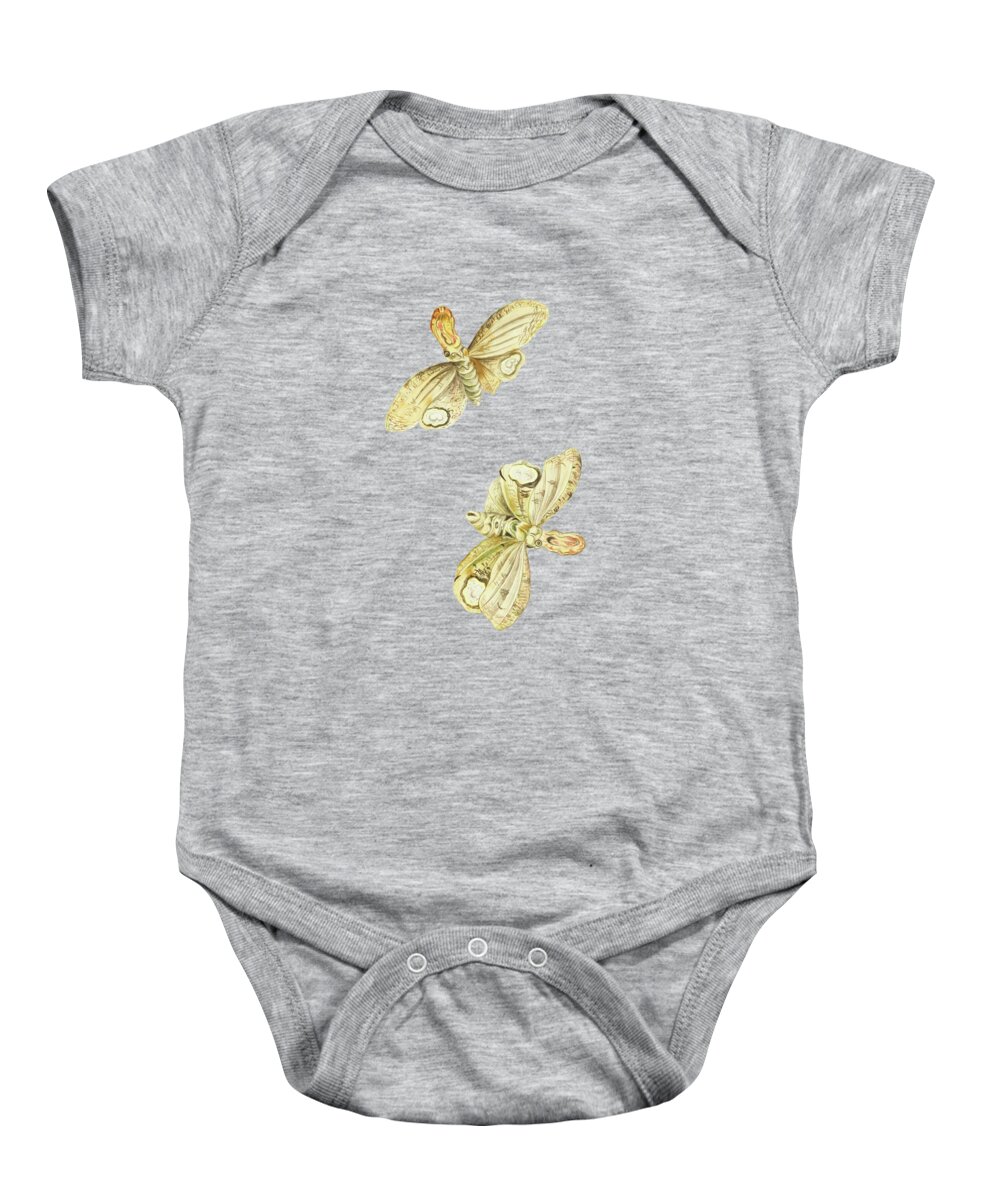 Light Baby Onesie featuring the mixed media Light Producing Moth Called Lantern Bearer Cornelis Markee 1763 by Movie Poster Prints