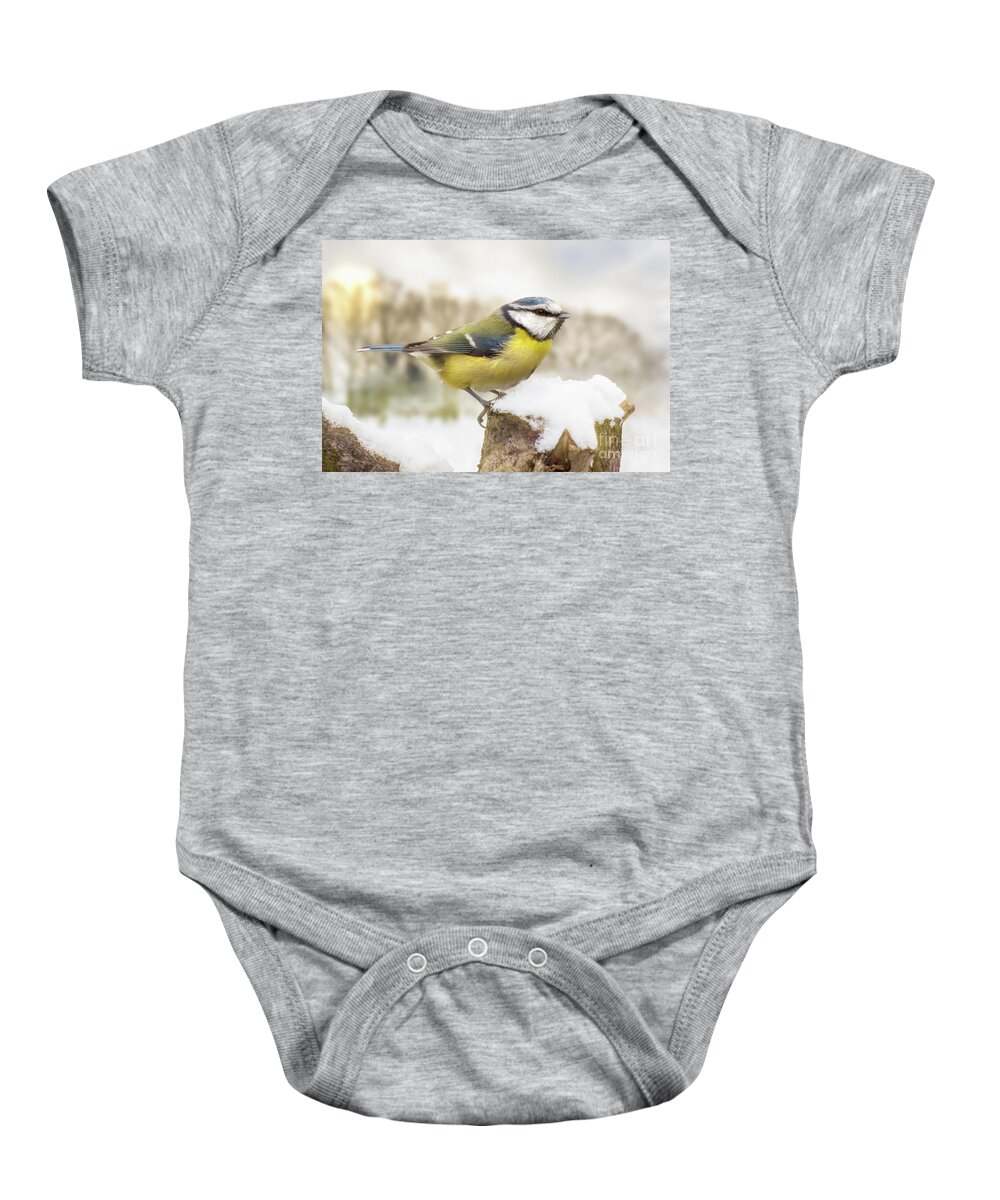 Snow Baby Onesie featuring the photograph Little blue tit in winter snow by Simon Bratt