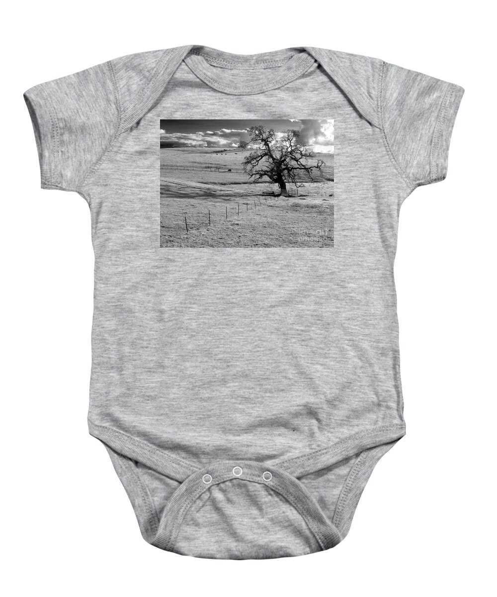 Western Scenes Baby Onesie featuring the photograph Lone Tree and Cows 2 by Norman Andrus