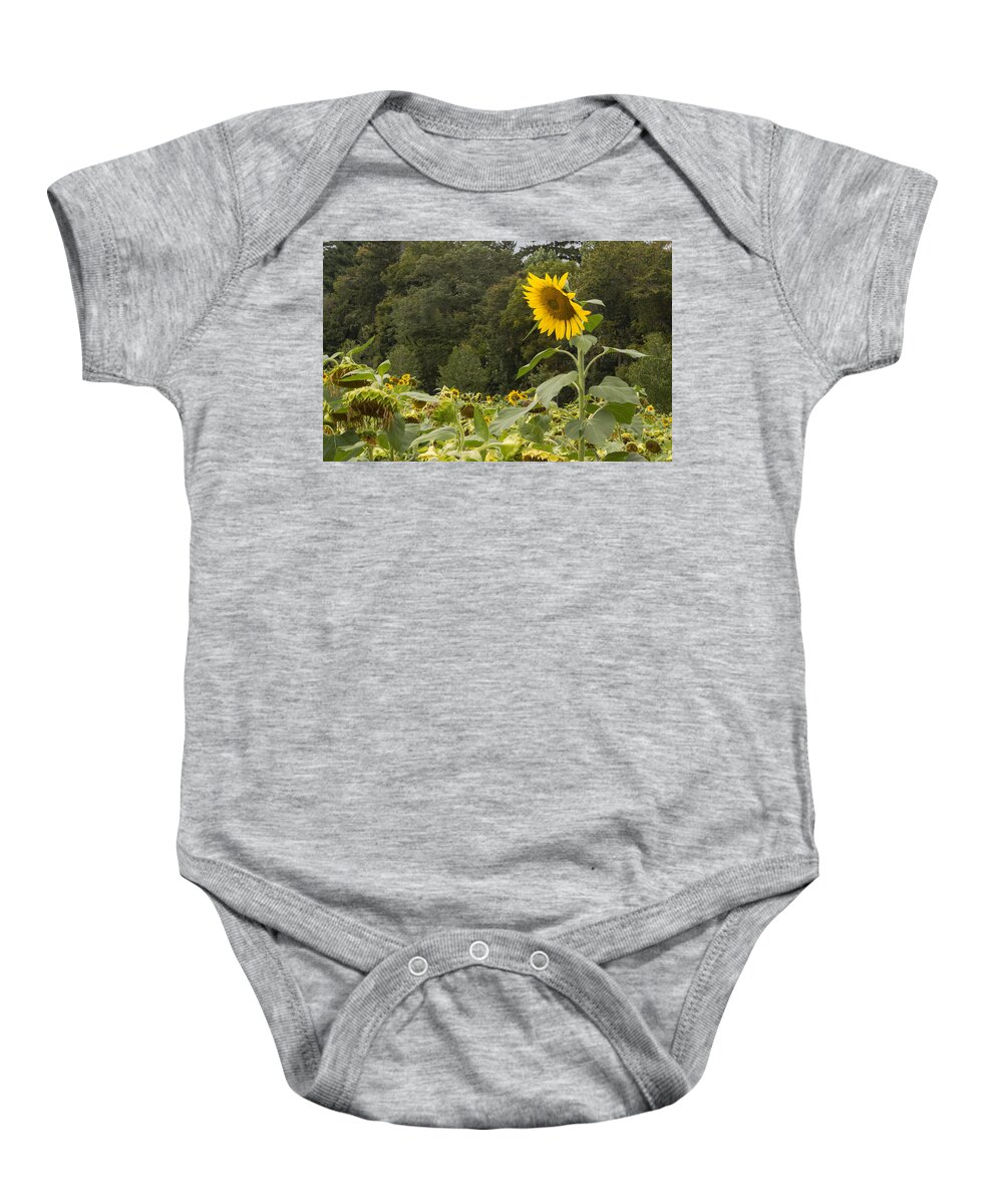 Sunflower Baby Onesie featuring the photograph Lone Wolf by Arlene Carmel