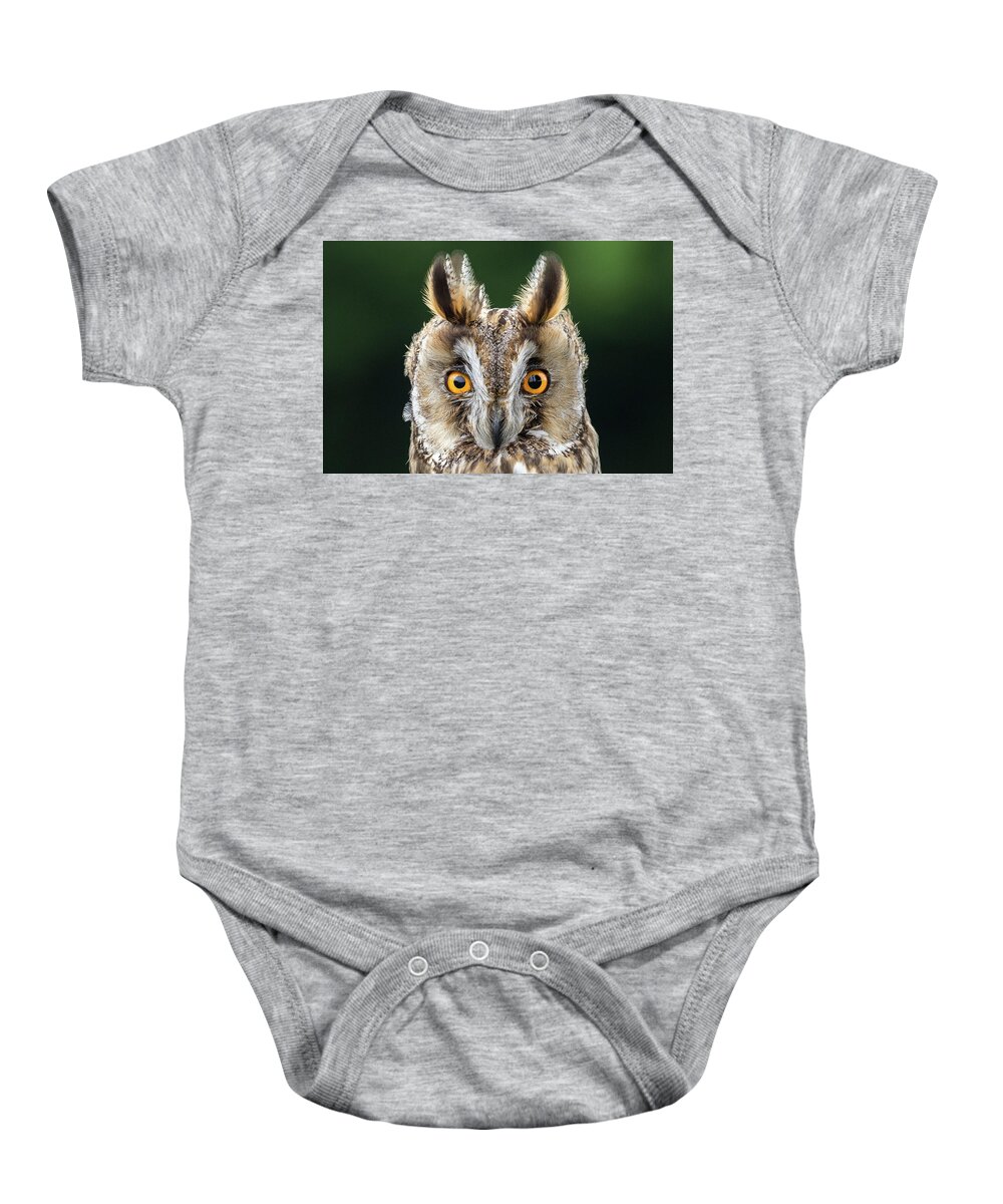 Long Eared Owl Baby Onesie featuring the photograph Long Eared Owl 1 by Nigel R Bell