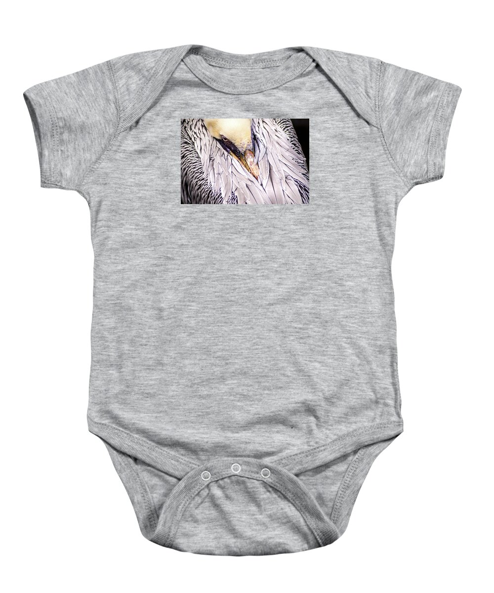 Bird Baby Onesie featuring the photograph Looking Down on a Pelican by Don Johnson