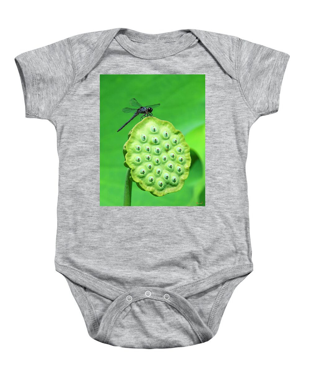 Lotus Baby Onesie featuring the photograph Lotus Capsule and Slaty Skimmer Dragonfly DL0106 by Gerry Gantt