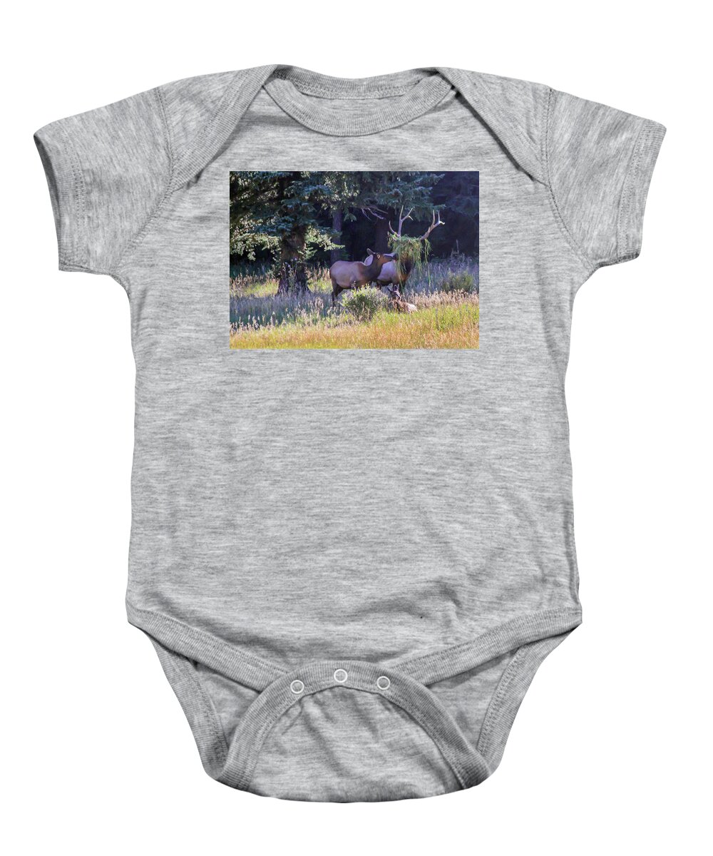 Elk Baby Onesie featuring the photograph Loving The New Hairdo by Shane Bechler