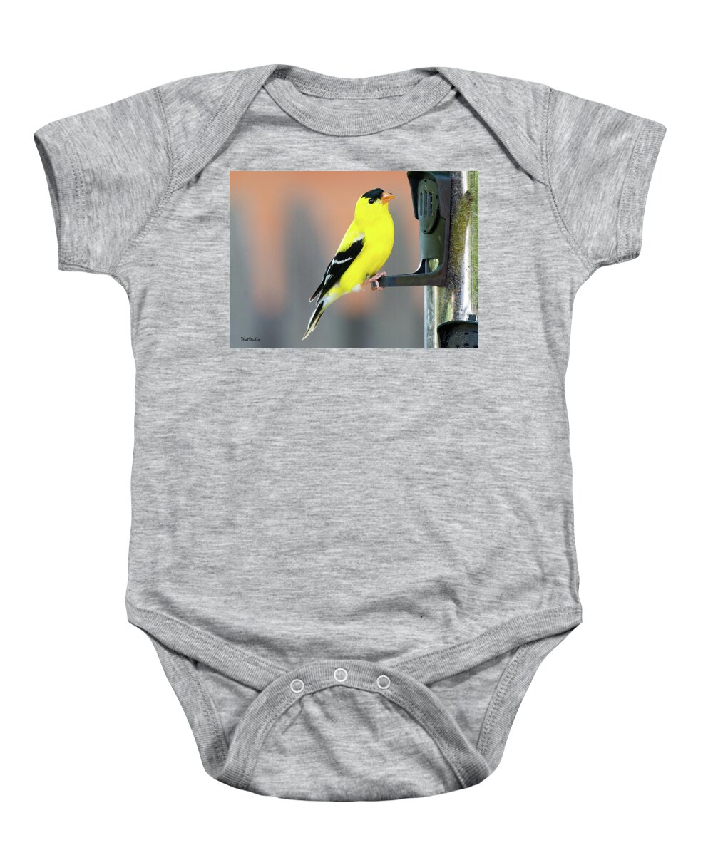 American Goldfinch Baby Onesie featuring the photograph Male American Goldfinch by Tim Kathka