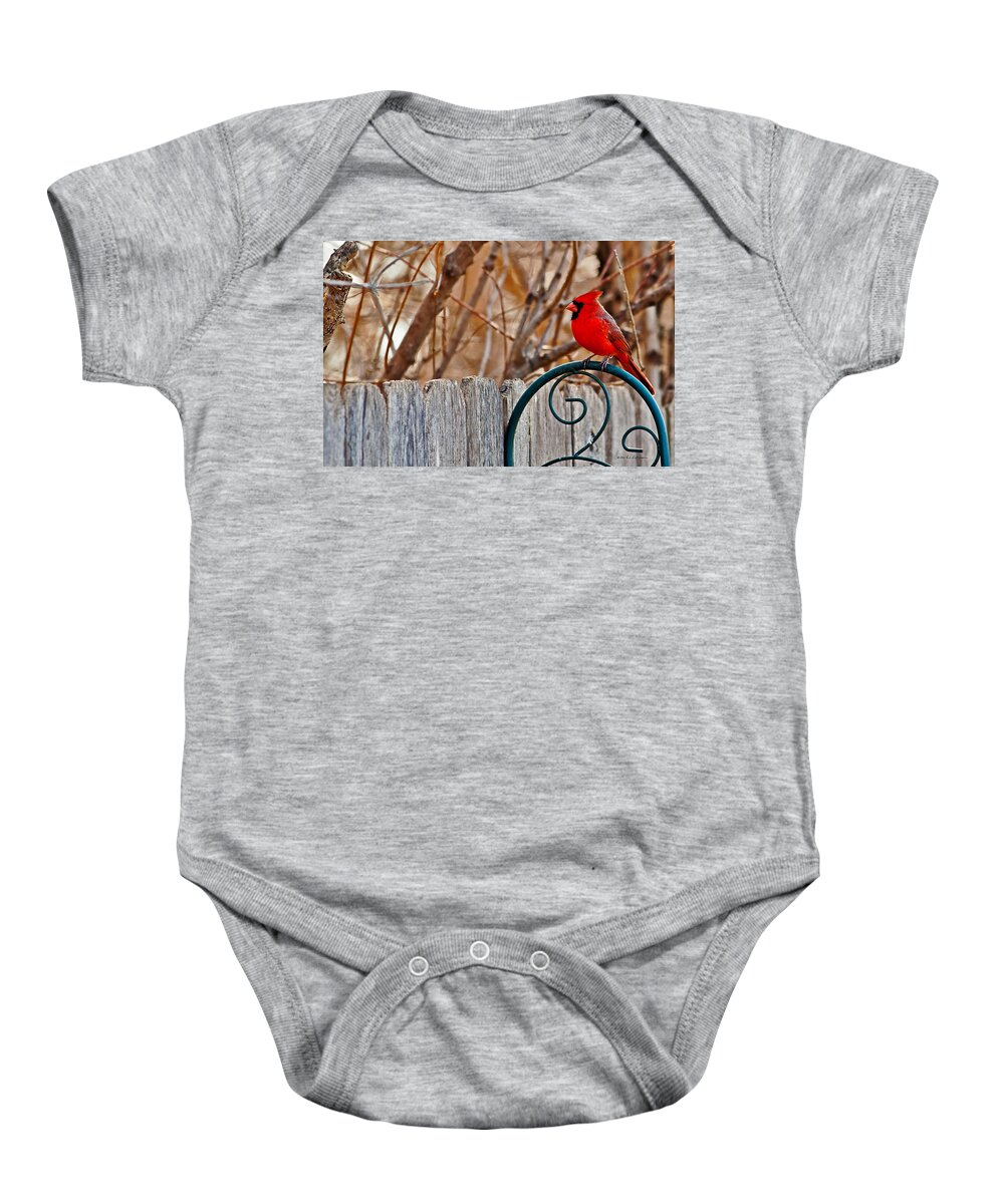 Cardinal Baby Onesie featuring the photograph Male Cardinal by Ed Peterson