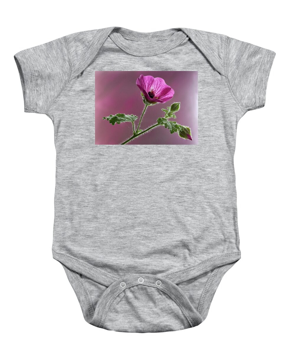 Blossom Baby Onesie featuring the photograph Mallow Flower 3 by Shirley Mitchell