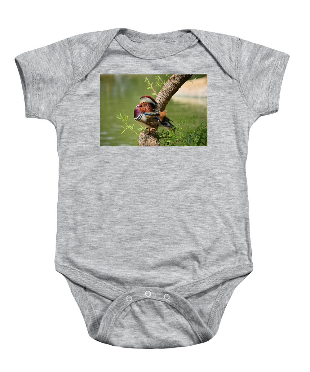 Face Mask Baby Onesie featuring the photograph Mandarin Duck on Tree by Lucinda Walter