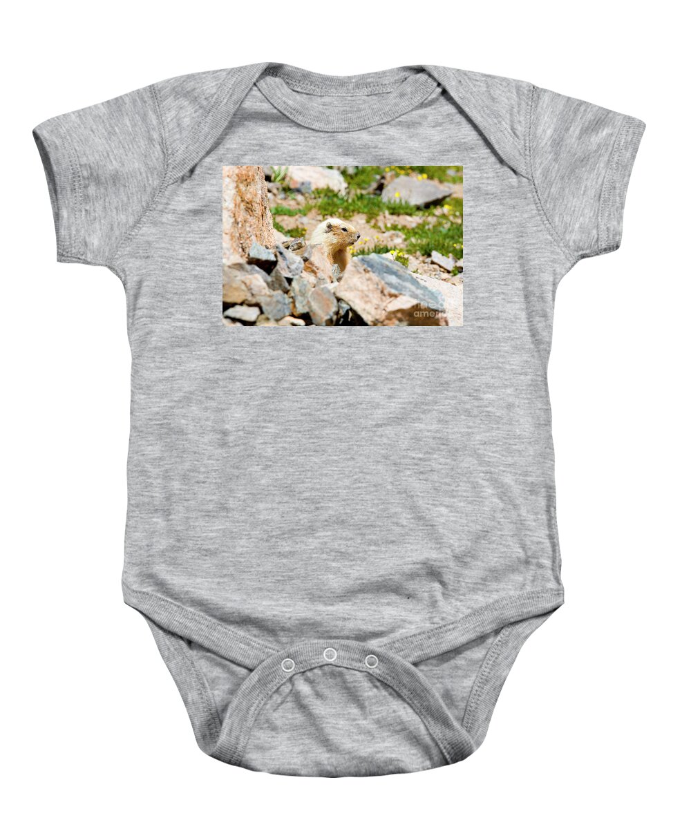 Marmot Baby Onesie featuring the photograph Marmot on Mount Massive Colorado by Steven Krull