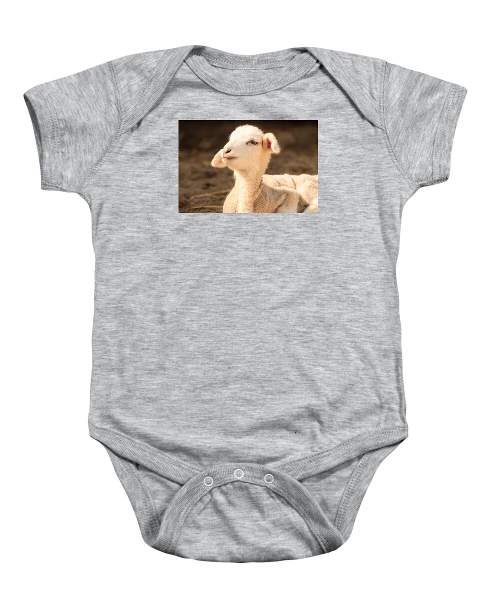 Animal Baby Onesie featuring the photograph Mary's Little Lamb by Joni Eskridge
