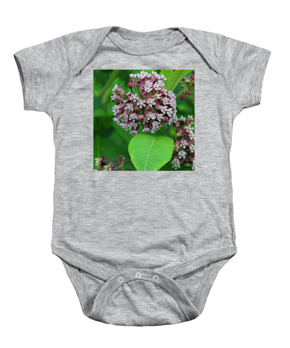 Photograph Baby Onesie featuring the photograph Milkweed in Bloom on the Blue Ridge by M E