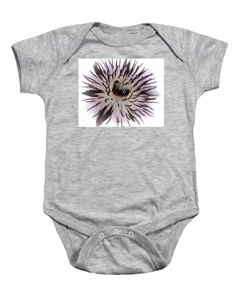 Clematis Baby Onesie featuring the photograph Milky Clematis by Baggieoldboy