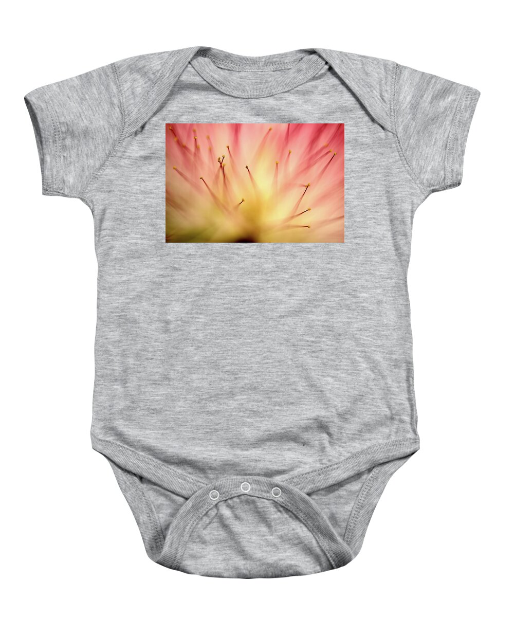 Mimosa Baby Onesie featuring the photograph Mimosa 4 by Mike Eingle