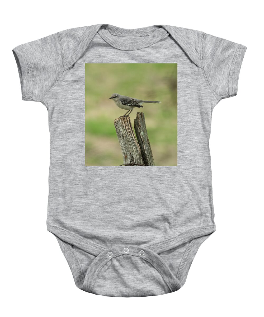 Jan Holden Baby Onesie featuring the photograph Perched on an Old Fence by Holden The Moment