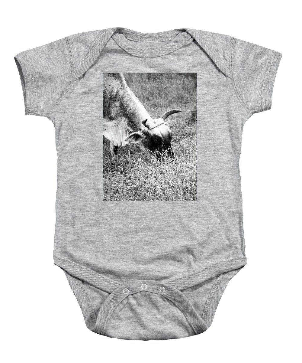 General Trias Baby Onesie featuring the photograph Moo Ving by Jez C Self