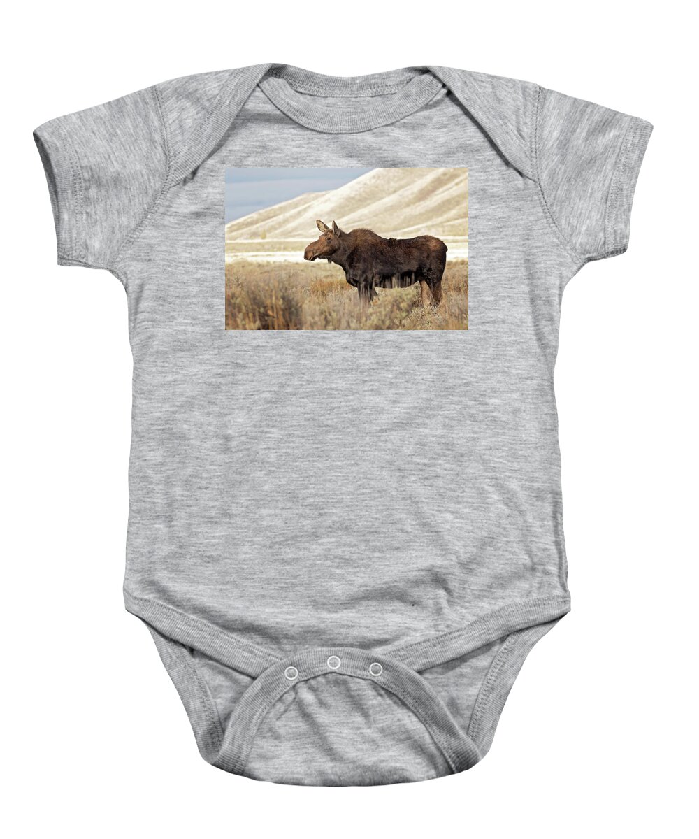 Moose Baby Onesie featuring the photograph Morning Moose by Eilish Palmer
