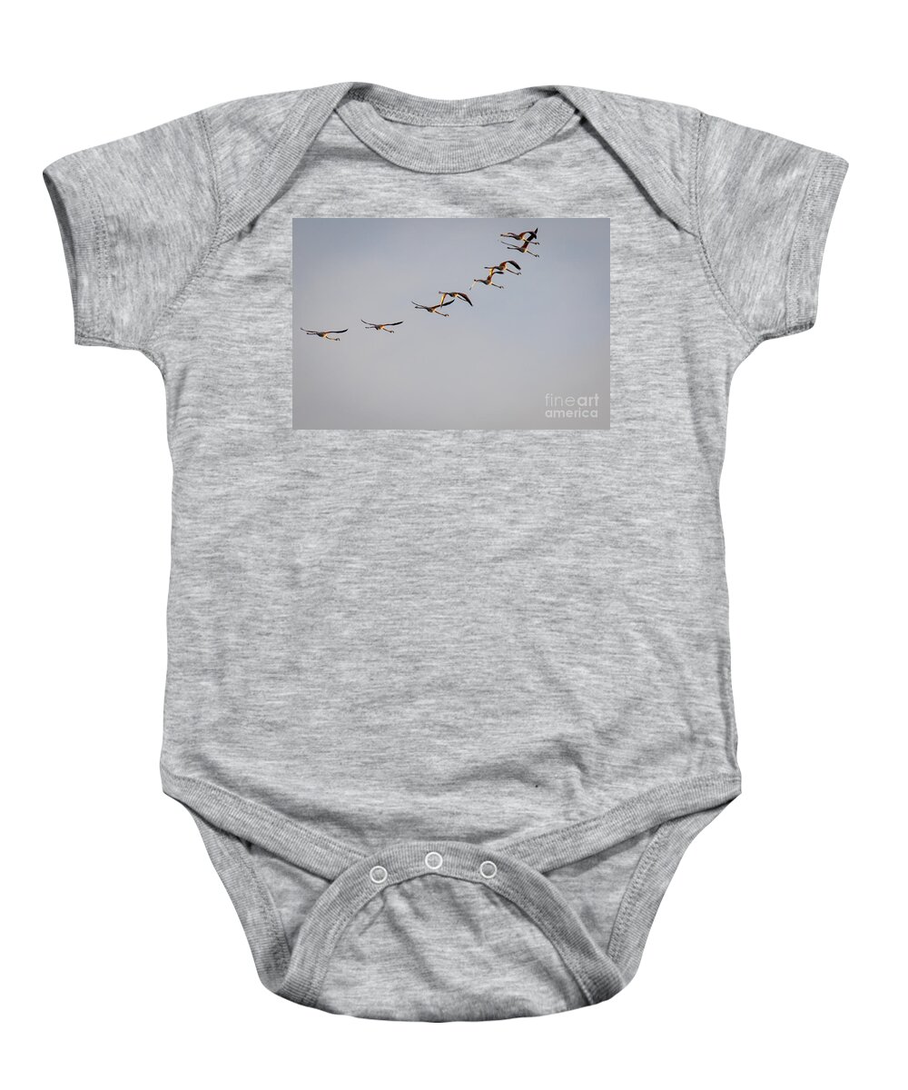 Animalia Baby Onesie featuring the photograph Morning Over The Lagoon by Jivko Nakev