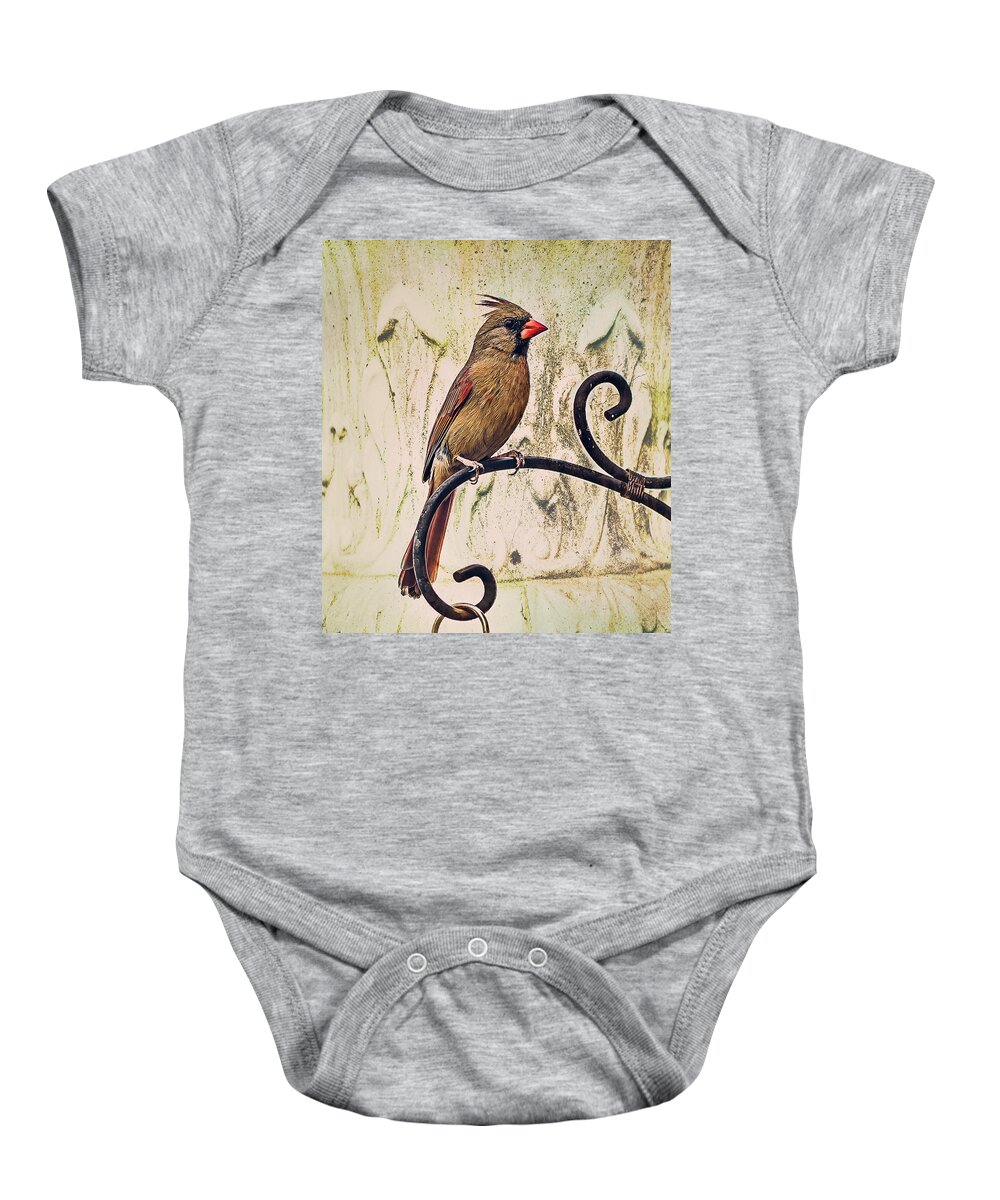 Songbird Baby Onesie featuring the photograph Morning Songbird by Cynthia Wolfe