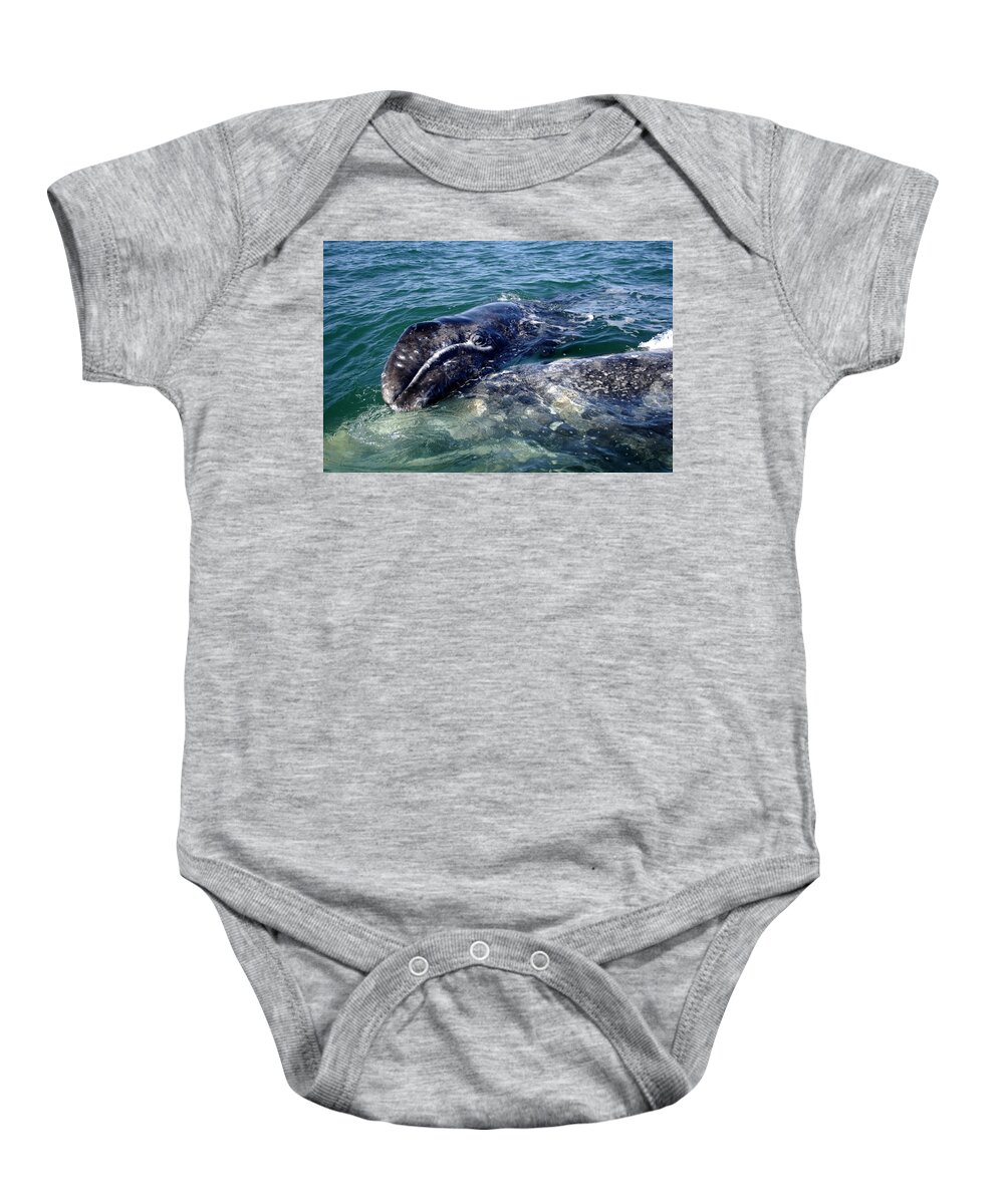 Grey Whale Baby Onesie featuring the photograph Mother Grey Whale and baby calf by David Shuler