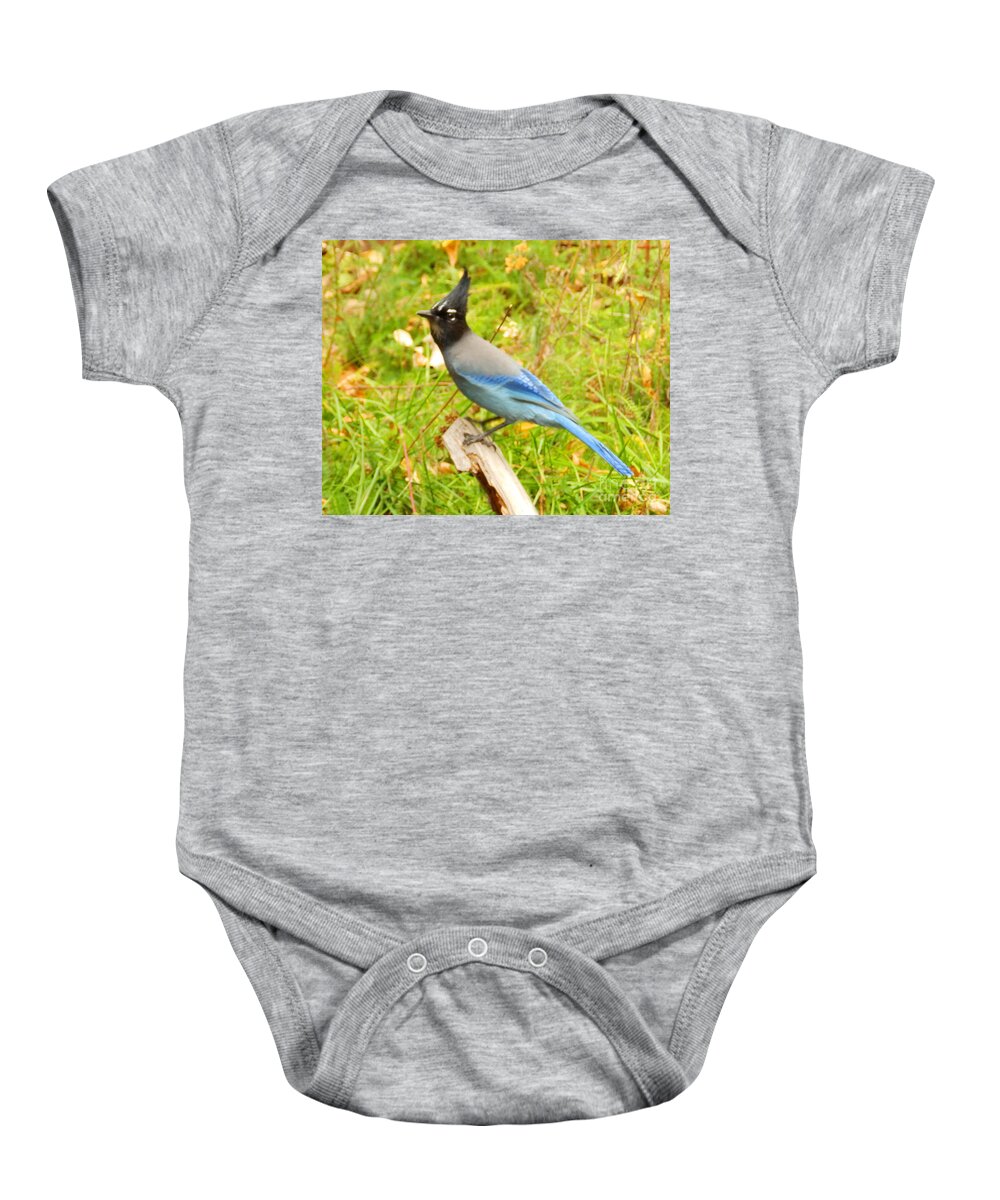 Blue Bird Baby Onesie featuring the painting Mountain Blue Jay by Jayne Kerr