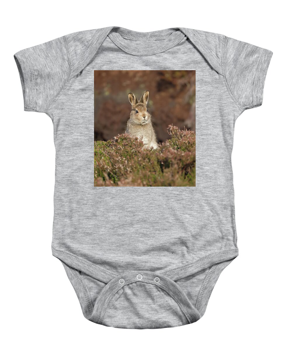 Mountain Baby Onesie featuring the photograph Mountain Hare Leveret by Pete Walkden