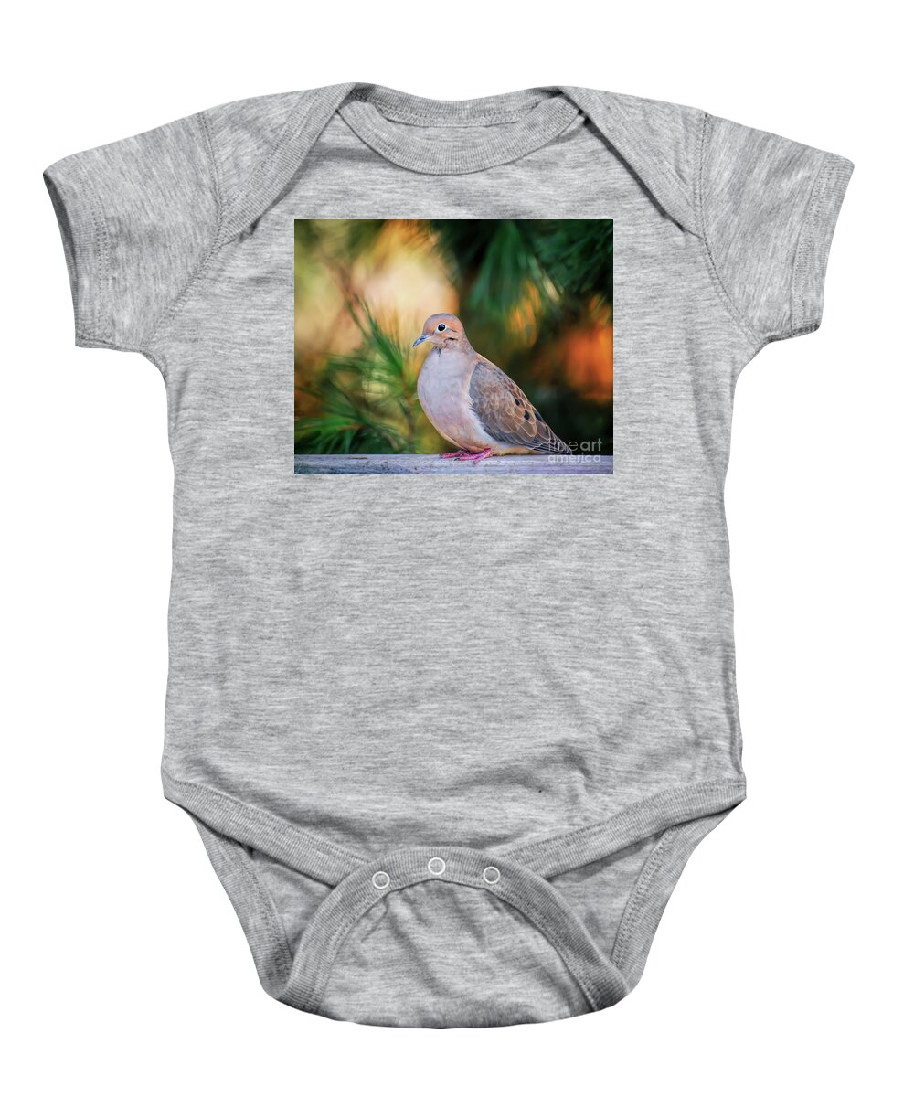 Dove Baby Onesie featuring the photograph Mourning Dove Bathed in Autumn Light by Kerri Farley of New River Nature