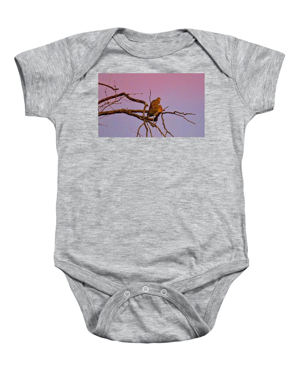 Arizona Baby Onesie featuring the photograph Mourning Doves by Judy Kennedy
