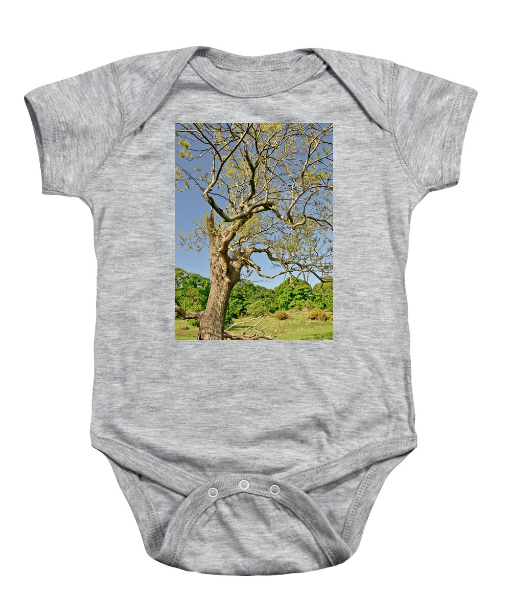 Tree Baby Onesie featuring the photograph Moving Up. by Elena Perelman