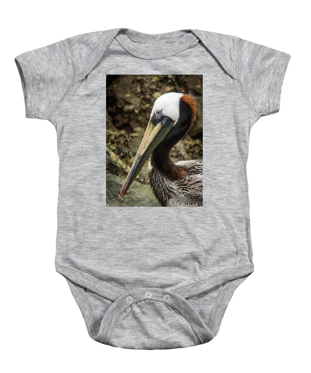 2016 Baby Onesie featuring the photograph Mr. Cool Wildlife Art by Kaylyn Franks by Kaylyn Franks