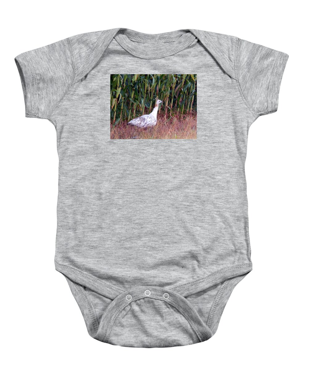 Summertime Baby Onesie featuring the photograph Ms Giddygaddy Takes a Stroll by Wild Thing