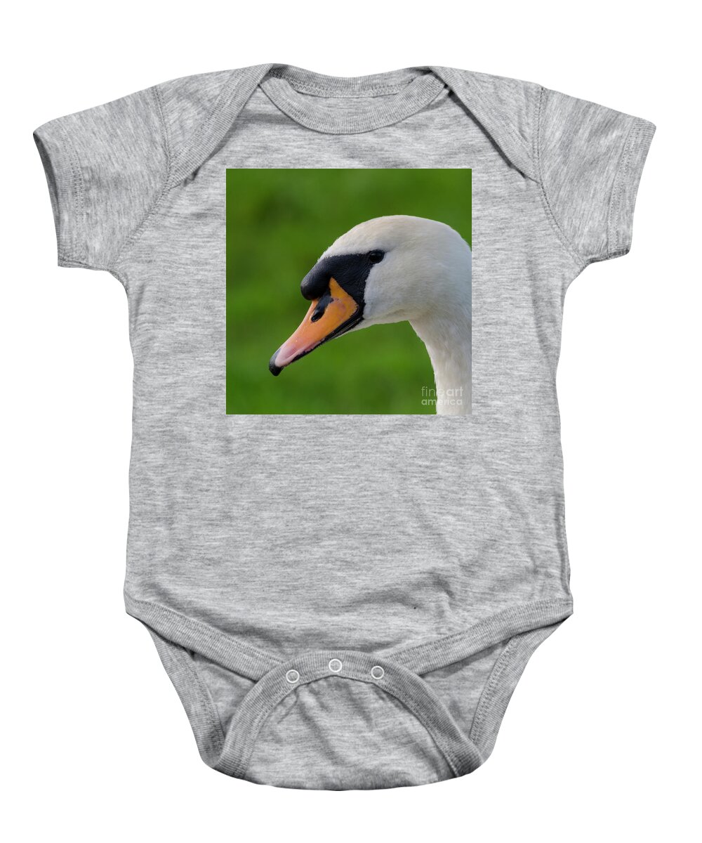 Swan Baby Onesie featuring the photograph Mute swan pen by Steev Stamford