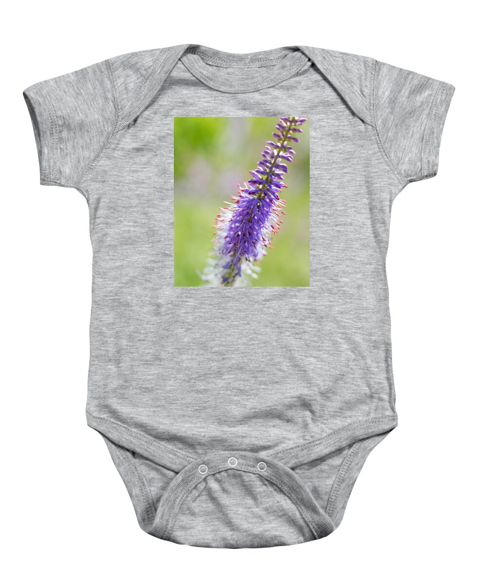 Purple Baby Onesie featuring the photograph Nature's Brush by Mary Underwood