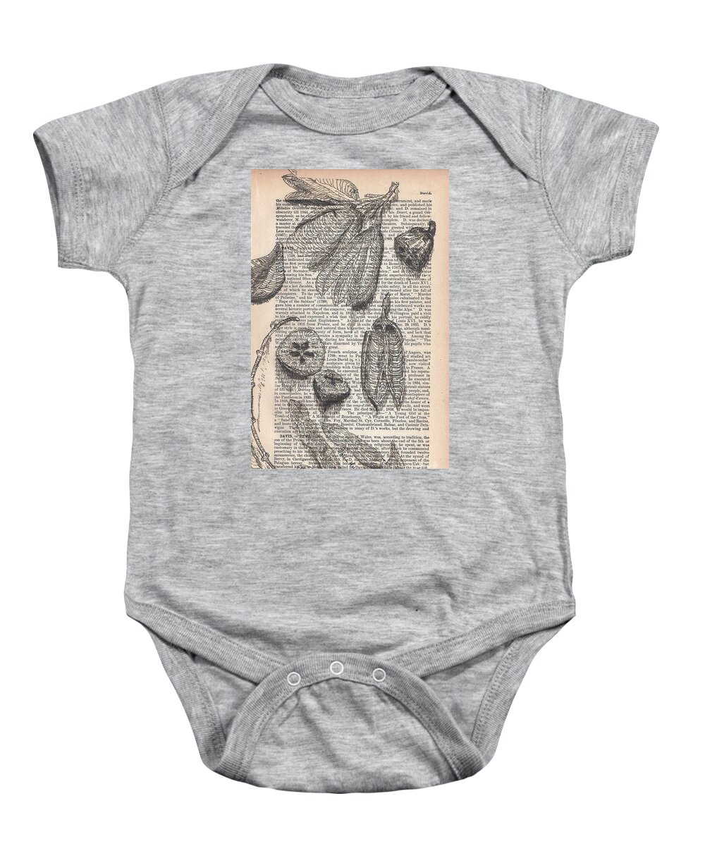 Seed Pods Baby Onesie featuring the painting Seed Pods Drawn on Antique Pages 1884 Cycopedia by Maria Hunt