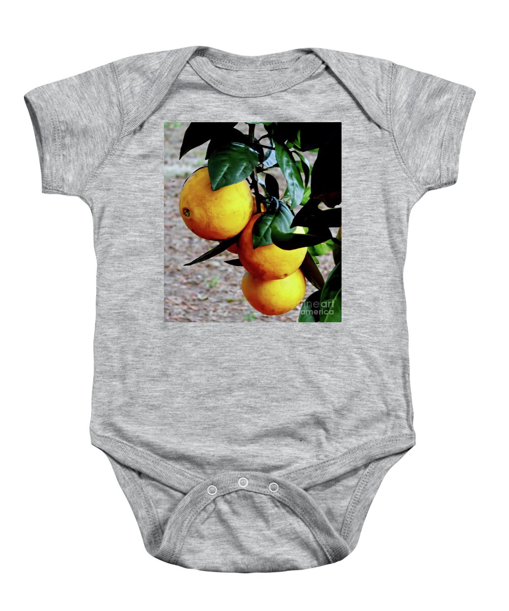 Fruit Baby Onesie featuring the photograph Naval Oranges On The Tree by D Hackett