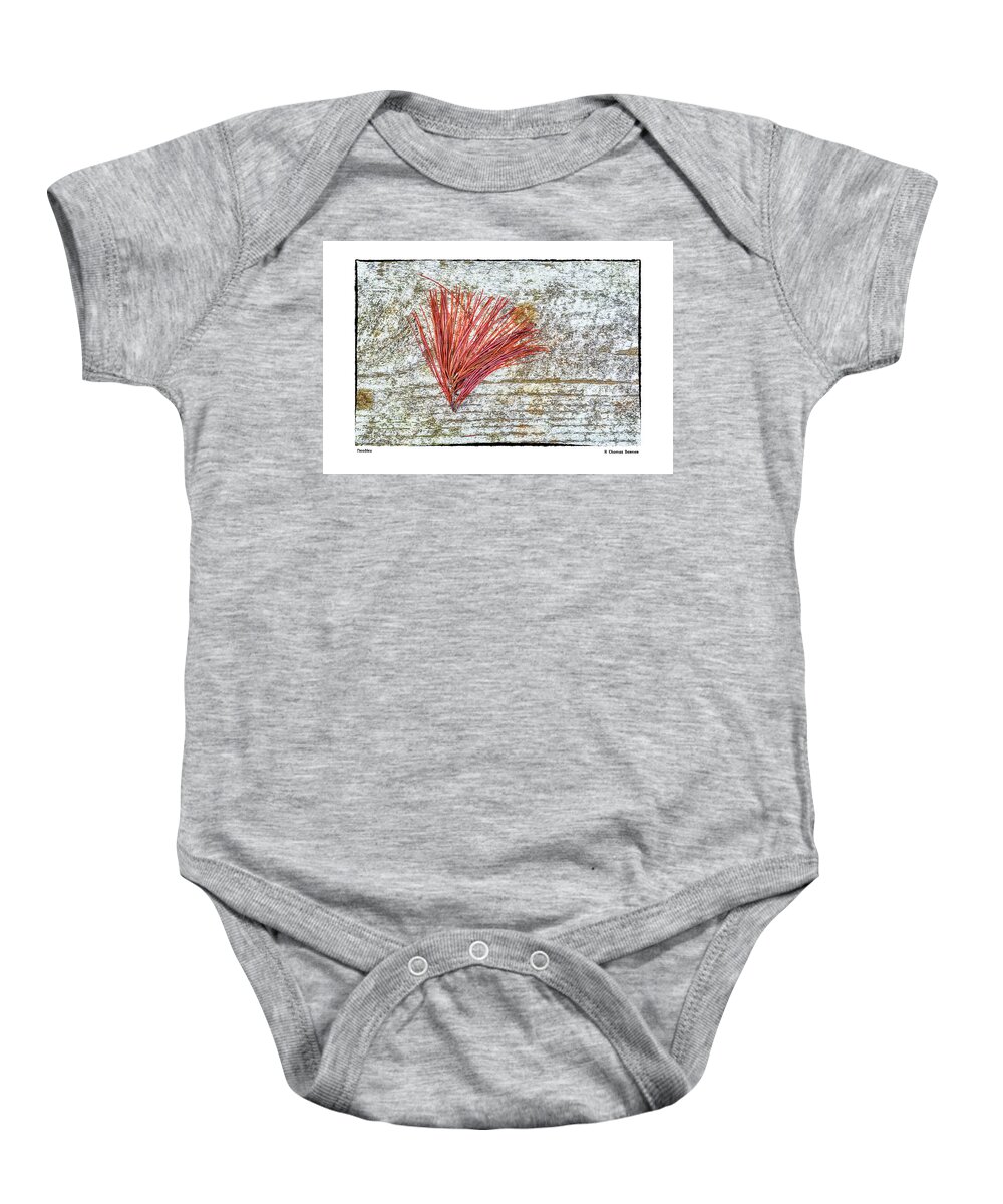 Pine Needles Baby Onesie featuring the photograph Needles by R Thomas Berner