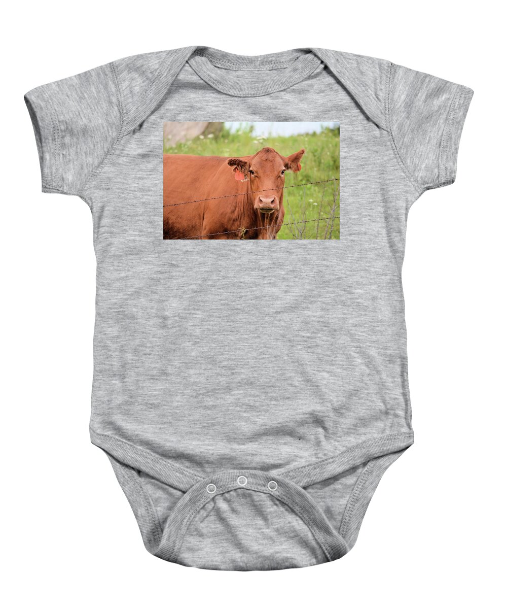 Farm Baby Onesie featuring the photograph No Chocolate by Bonfire Photography